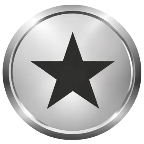 Silver Home icon